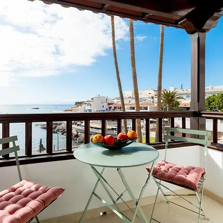 公寓 Terrazas Caleta 2